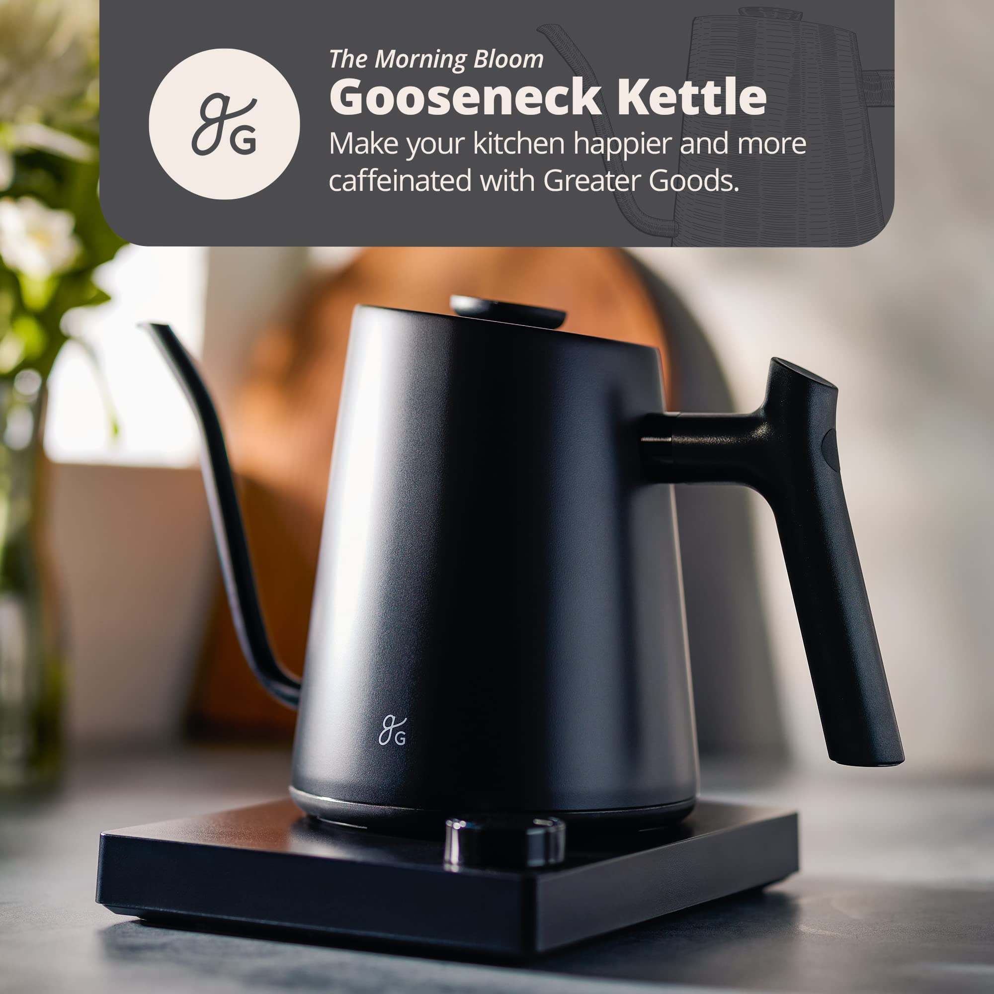 Greater Goods Electric Gooseneck Kettle, 1200W Stainless Steel with Precision Temperature Control, Fast Boil, BPA-Free, I1L (Onyx Black)